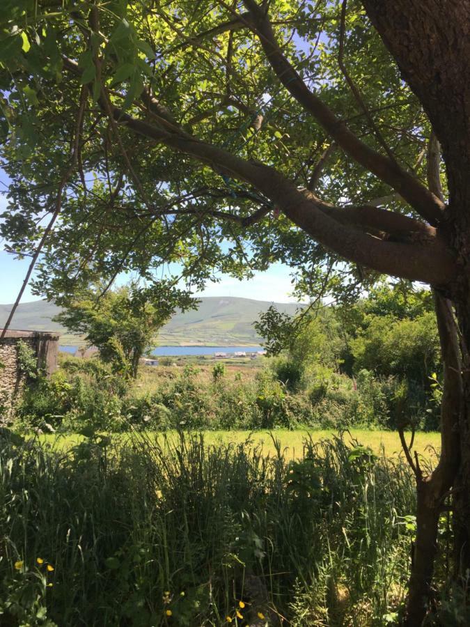فندق Retro Caravans At Valentia Island Escape Chapeltown المظهر الخارجي الصورة